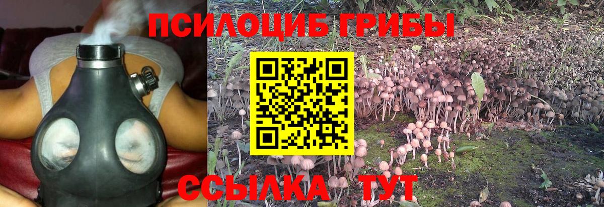 Псилоцибиновые грибы Magic Shrooms Оренбург