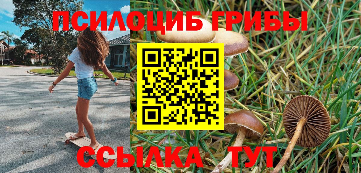 Оренбург  Галлюциногенные грибы Magic Shrooms  Галлюциногенные грибы Magic Shrooms  Вход с VPN 